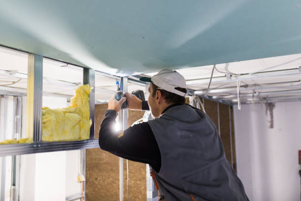 Best Cellulose Insulation in Luxora, AR