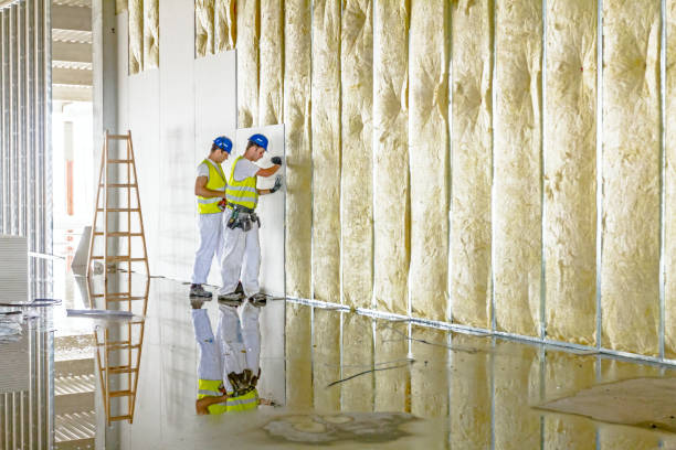 Best Specialized Insulation Services in Luxora, AR